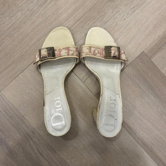 Dior Pink Logo Monogram Trotter Buckle Block Heels